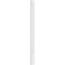Ekena Millwork Raised Panel PVC Pilaster w/Standard Capital & Base, 8"W x 102"H x 2"P PILP08X102RP01-2 - alternate 3